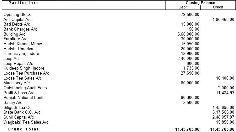 Trial Balance for Learn Tally in Hindi with Examples