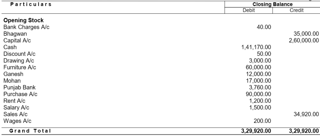 Trial Balance for Learn Tally and Accounting