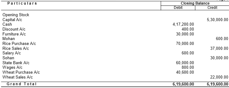 Trial Balance for Tally Accounting