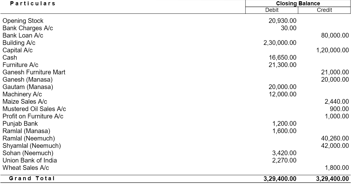 Trial Balance for Tally Practice Exercise